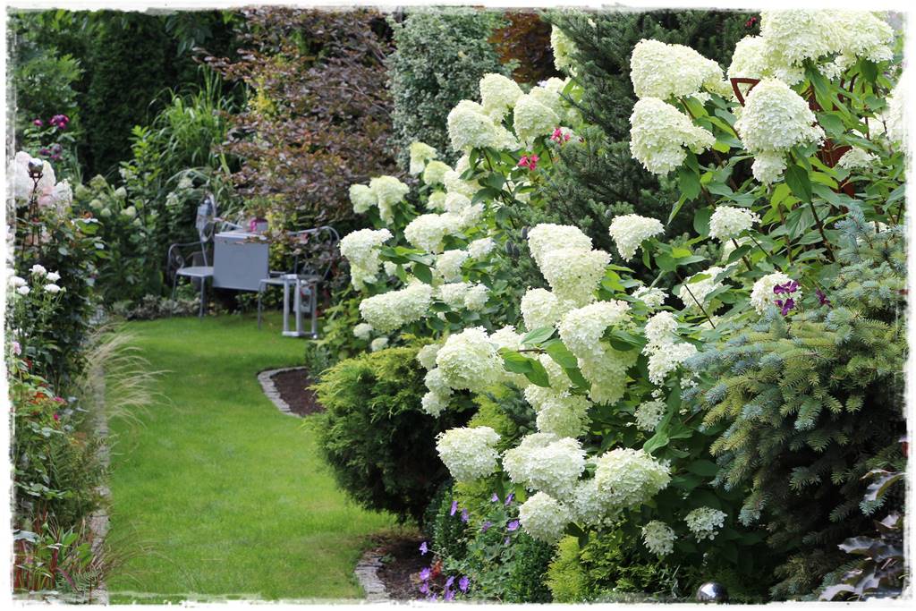 Biały ogród 7