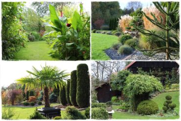 Egzotyczne rośliny do ogrodu 0