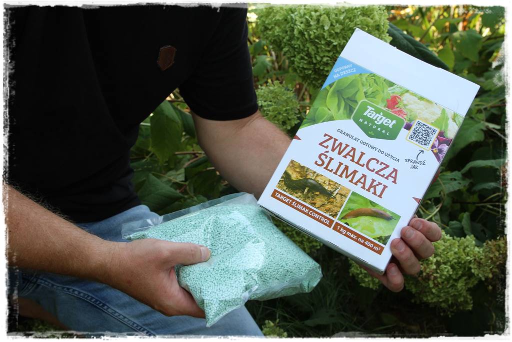 Jak ekologicznie zwalczyć ślimaki 5