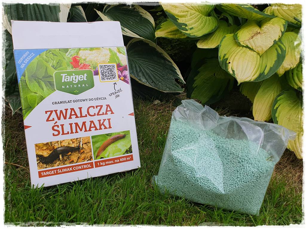 Jak ekologicznie zwalczyć ślimaki 7