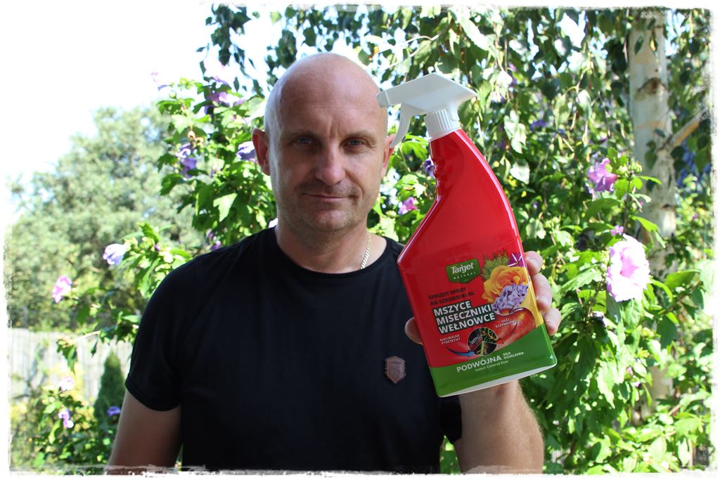 Jak szybko zwalczyć szkodniki roślin 8