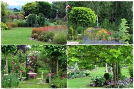 Katalpa w ogrodzie aranżacje 1