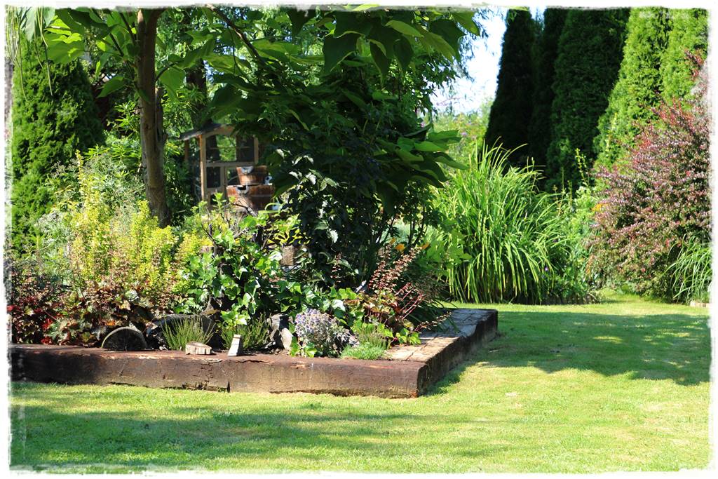 Katalpa w ogrodzie aranżacje 10c