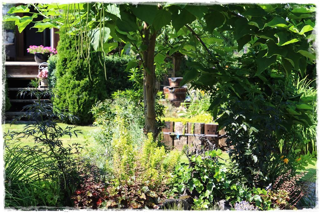 Katalpa w ogrodzie aranżacje 10d