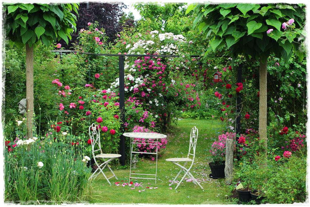 Katalpa w ogrodzie aranżacje 30c