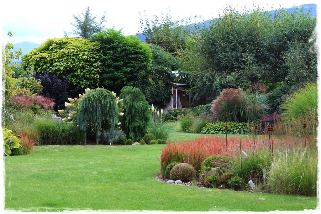 Katalpa w ogrodzie aranżacje 50