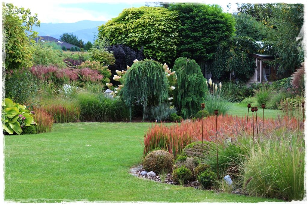 Katalpa w ogrodzie aranżacje 50c