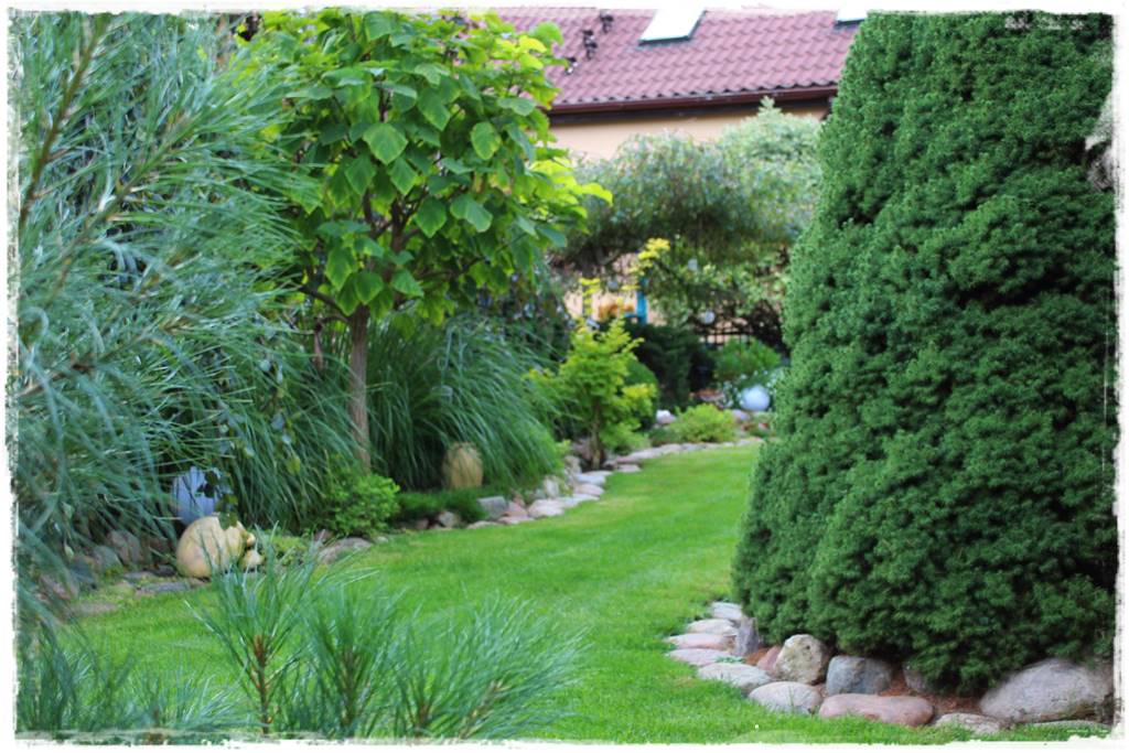 Katalpa w ogrodzie aranżacje 60