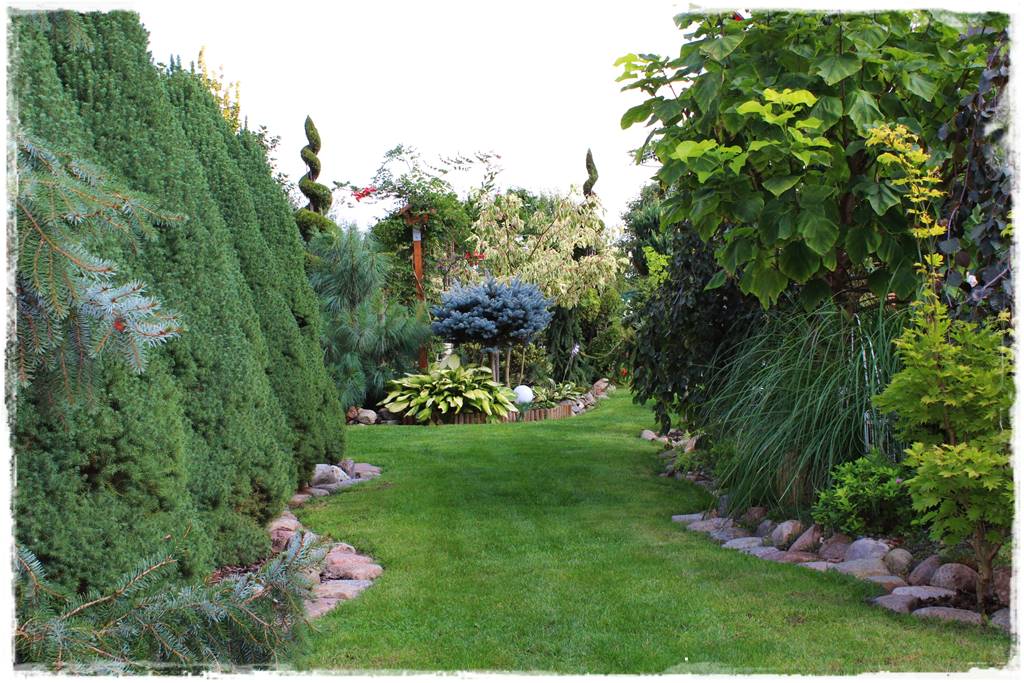 Katalpa w ogrodzie aranżacje 60b