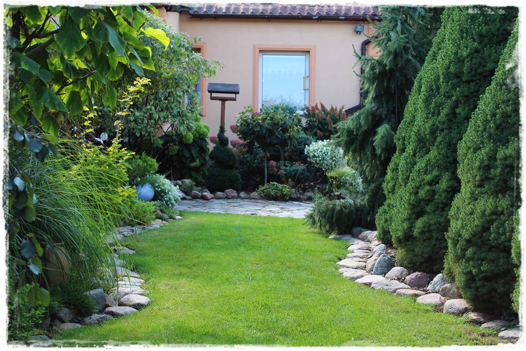 Katalpa w ogrodzie aranżacje 60c