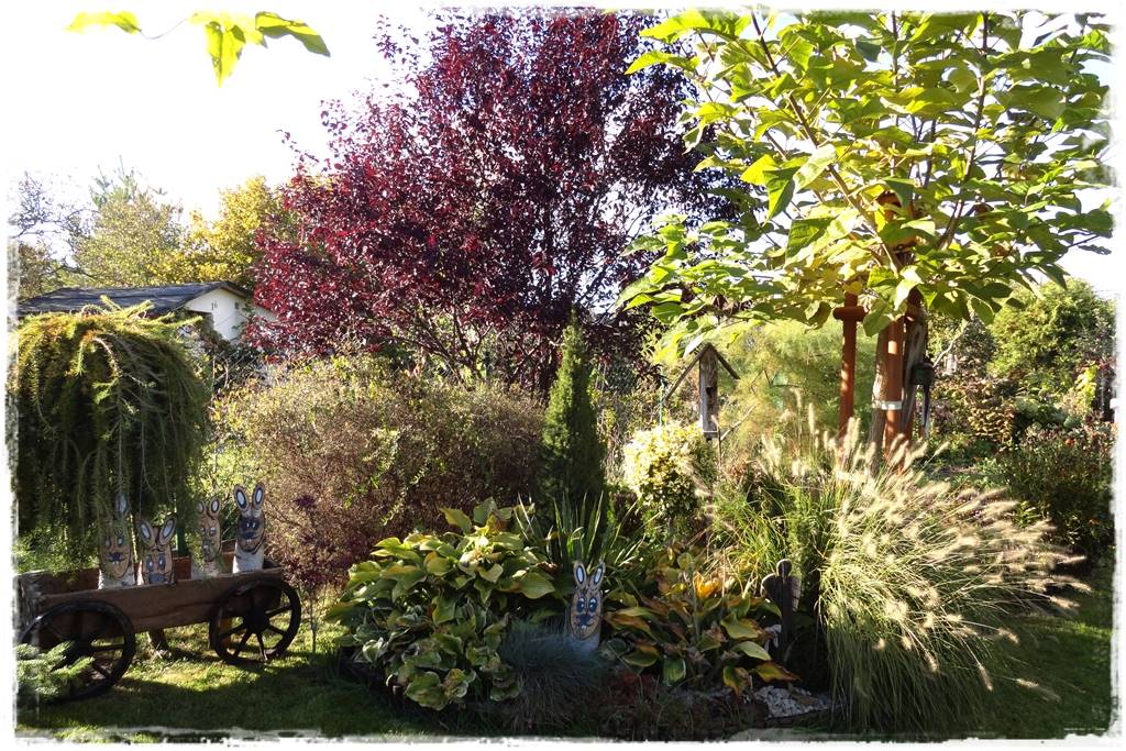 Katalpa w ogrodzie aranżacje 70