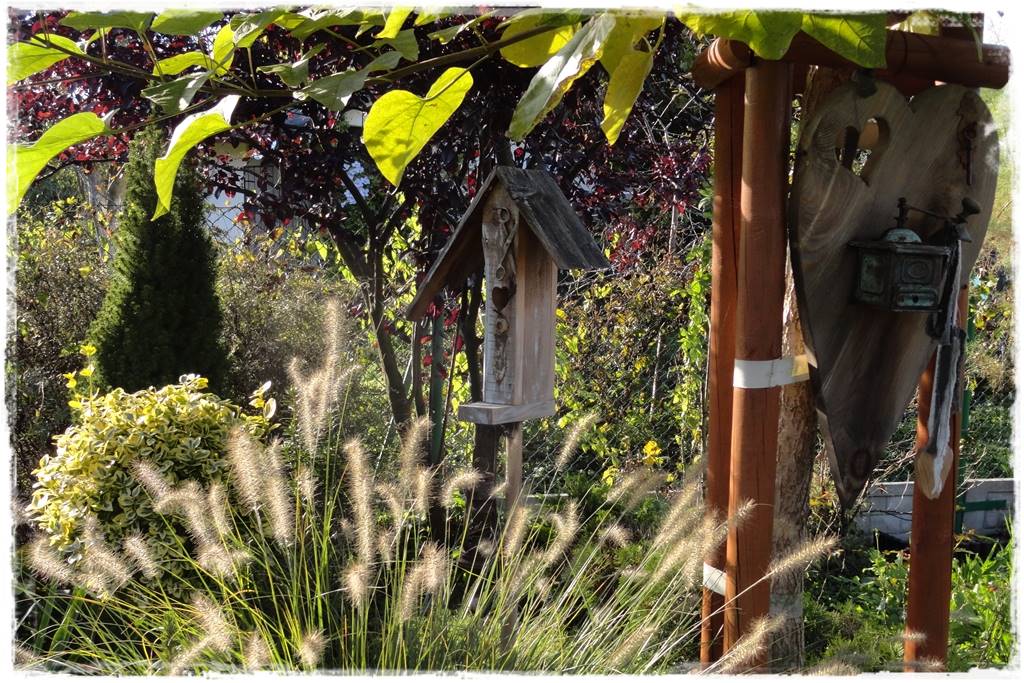 Katalpa w ogrodzie aranżacje 70b