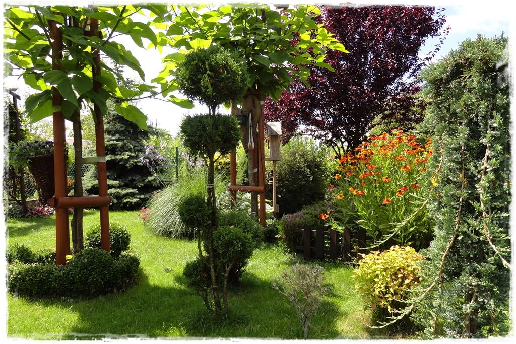 Katalpa w ogrodzie aranżacje 70c