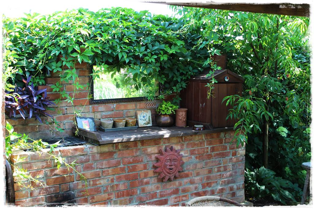 Letnie cięcie pnączy 10