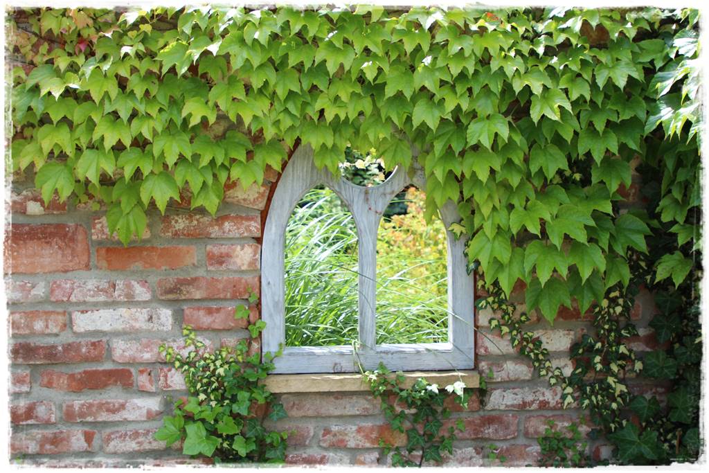 Letnie cięcie pnączy 11