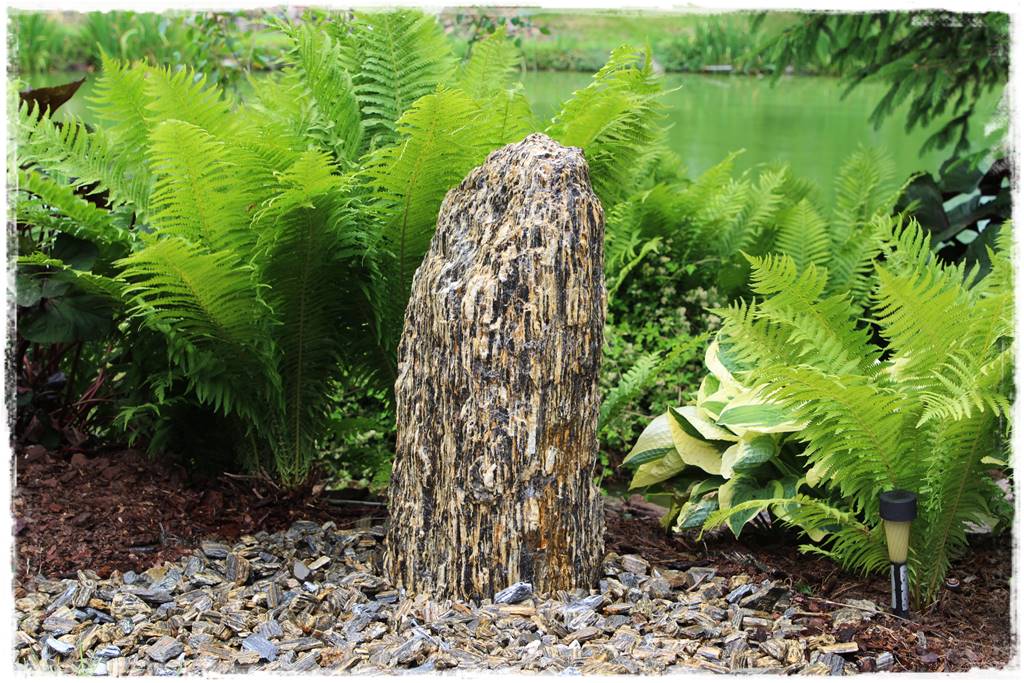 Paprocie w ogrodzie aranżacje 103c