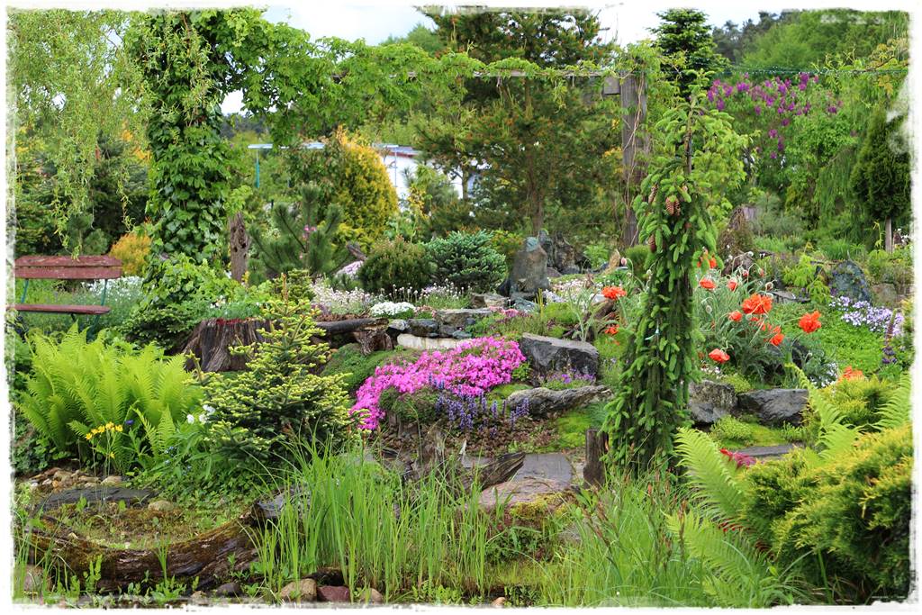 Paprocie w ogrodzie aranżacje 104b