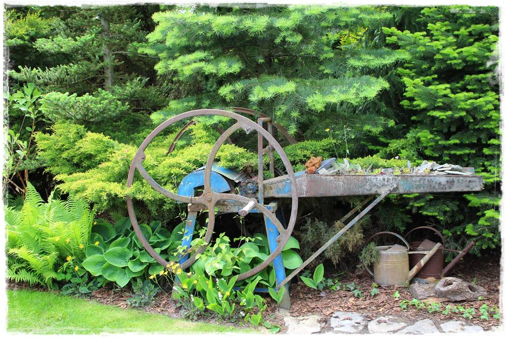 Paprocie w ogrodzie aranżacje 104c