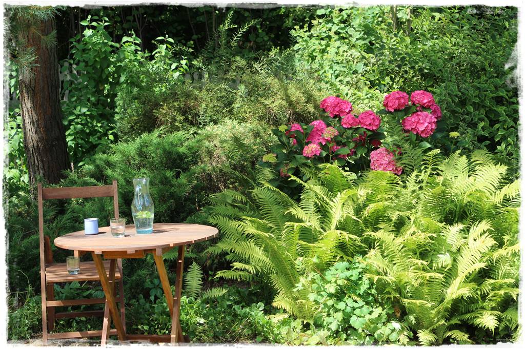 Paprocie w ogrodzie aranżacje 105