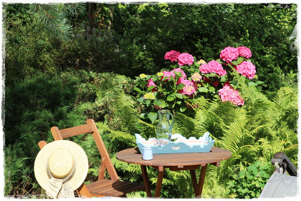 Paprocie w ogrodzie aranżacje 105b