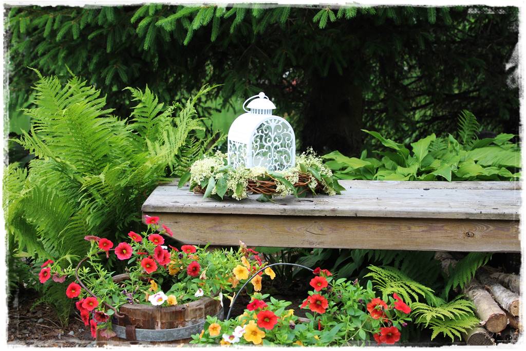 Paprocie w ogrodzie aranżacje 105e