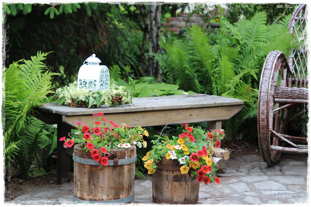 Paprocie w ogrodzie aranżacje 105f