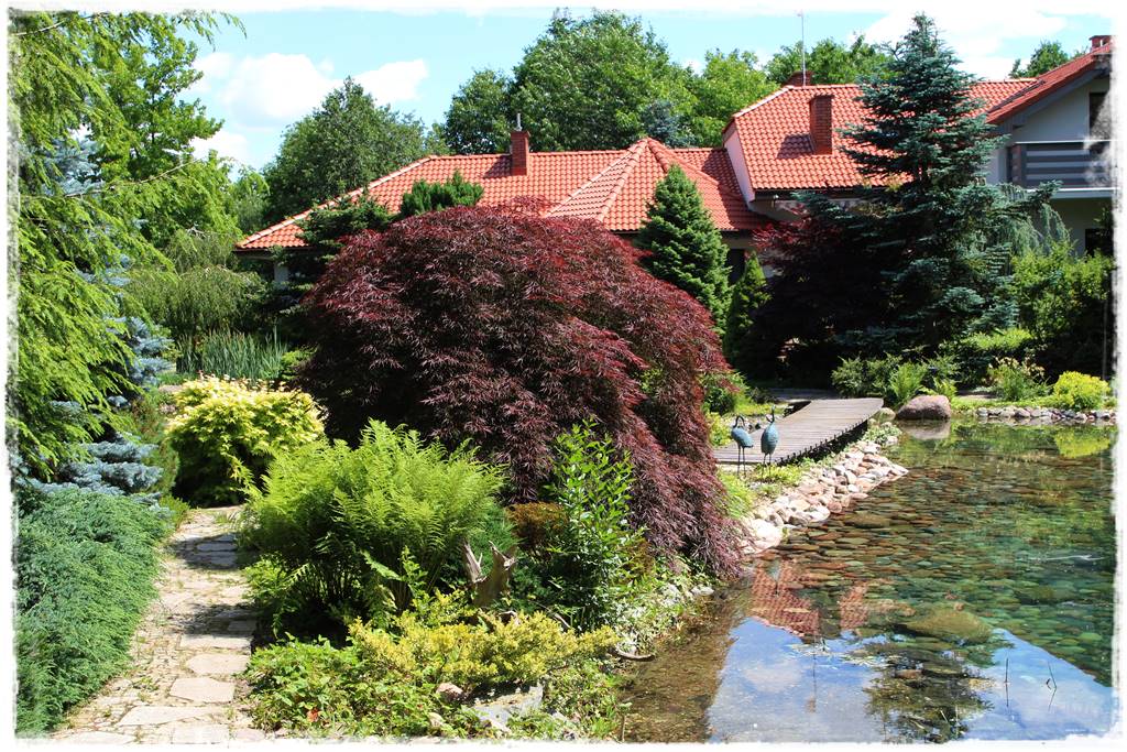 Paprocie w ogrodzie aranżacje 106