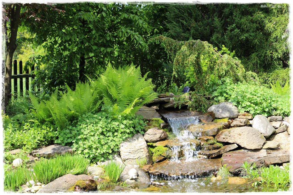 Paprocie w ogrodzie aranżacje 108c