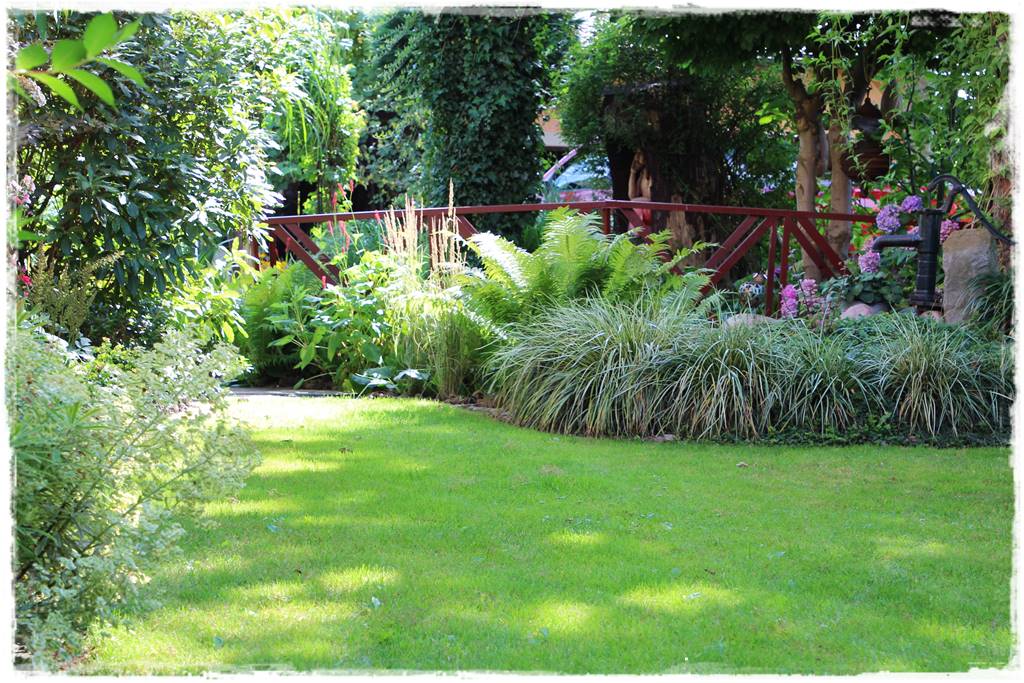 Paprocie w ogrodzie aranżacje 303