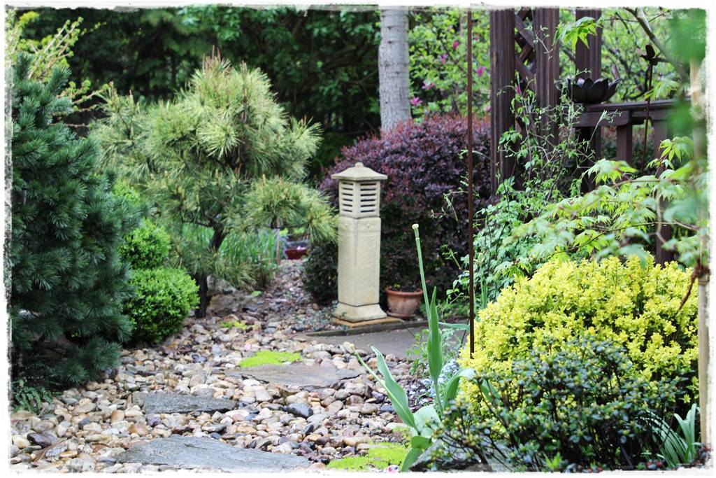 Pomysł na ścieżkę w ogrodzie 1006