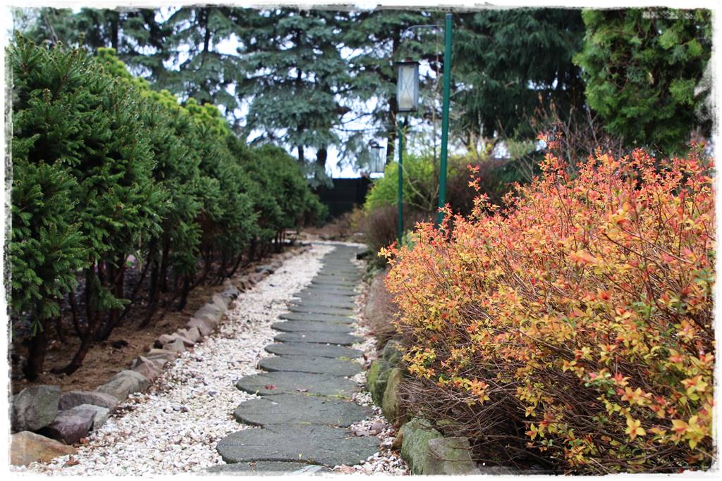 Pomysł na ścieżkę w ogrodzie 1007