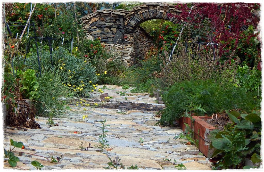 Pomysł na ścieżkę w ogrodzie 1013