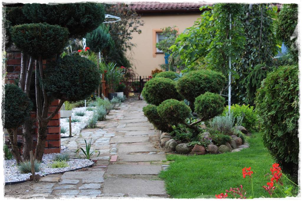 Pomysł na ścieżkę w ogrodzie 1014