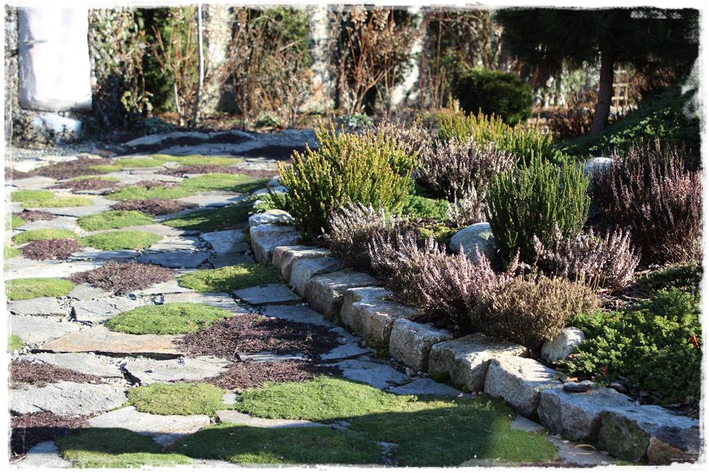 Pomysł na ścieżkę w ogrodzie 1016