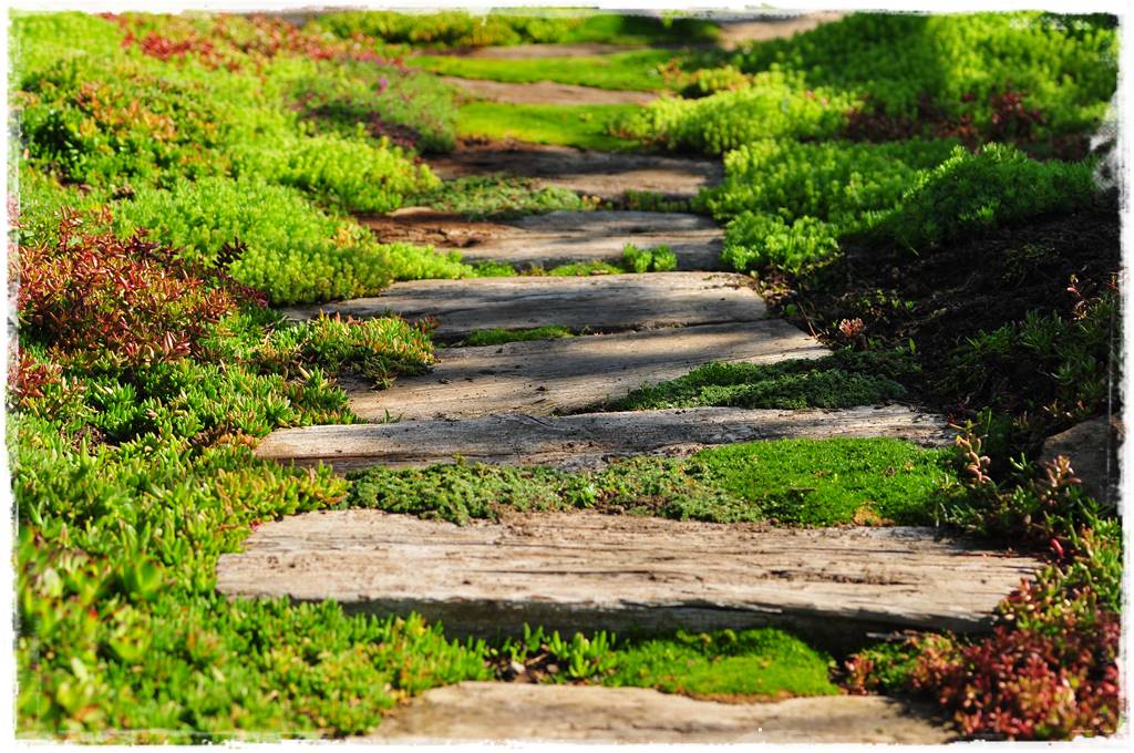 Pomysł na ścieżkę w ogrodzie 1017