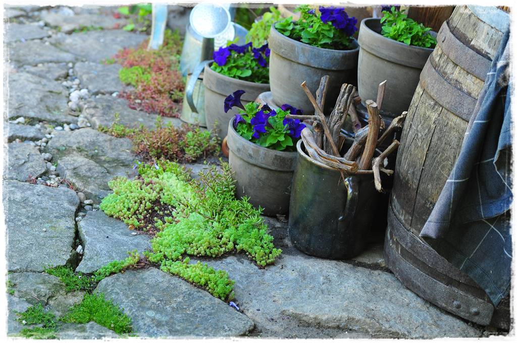 Pomysł na ścieżkę w ogrodzie 1018