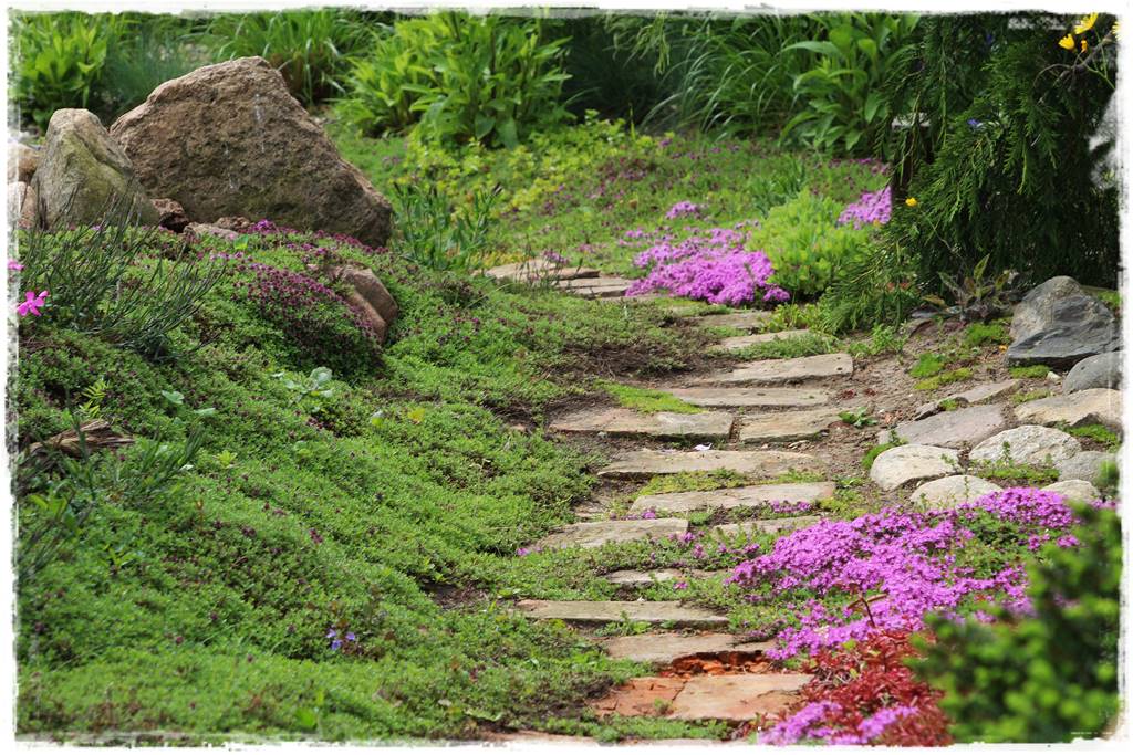 Pomysł na ścieżkę w ogrodzie 1019