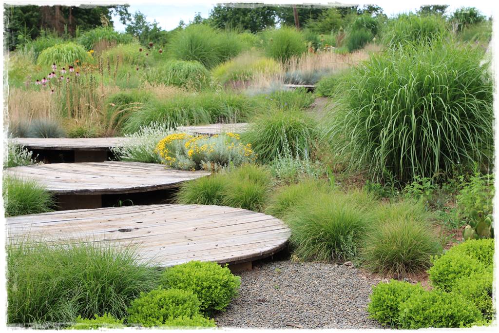 Pomysł na ścieżkę w ogrodzie 1020