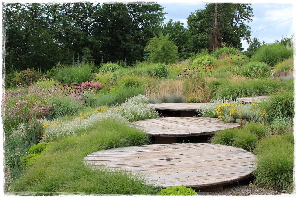 Pomysł na ścieżkę w ogrodzie 1021