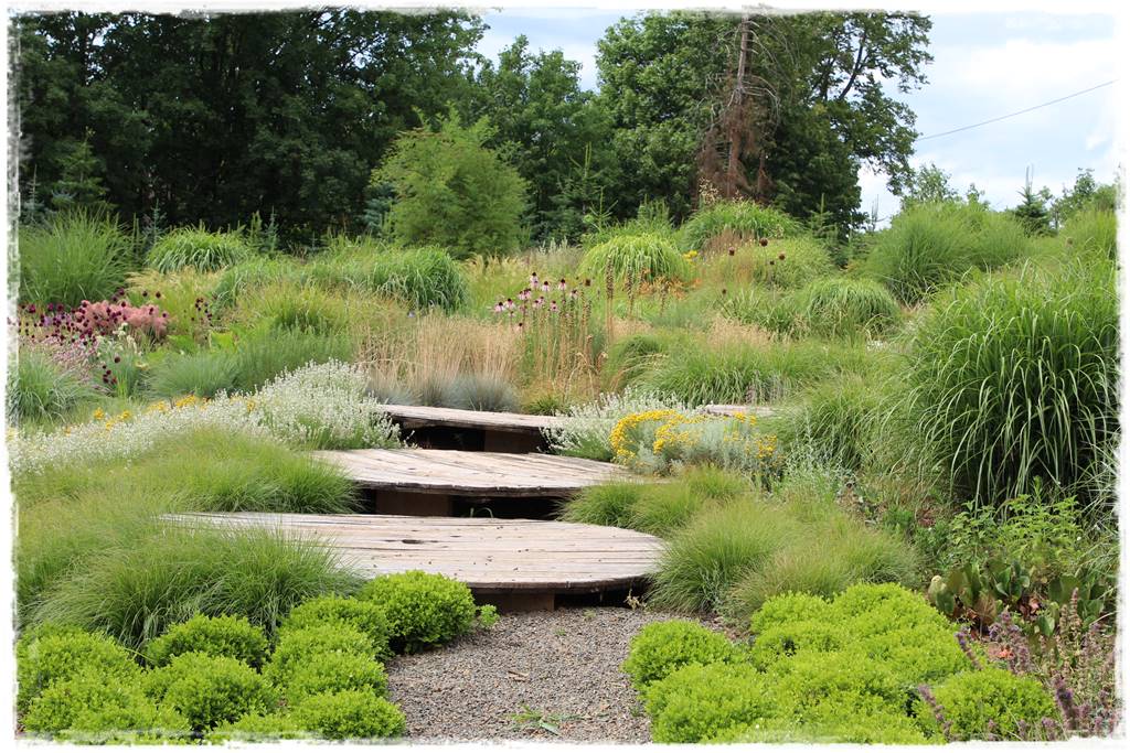 Pomysł na ścieżkę w ogrodzie 1022