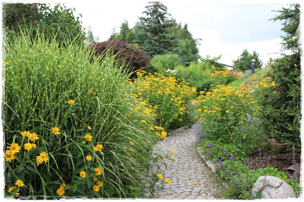 Pomysł na ścieżkę w ogrodzie 2c