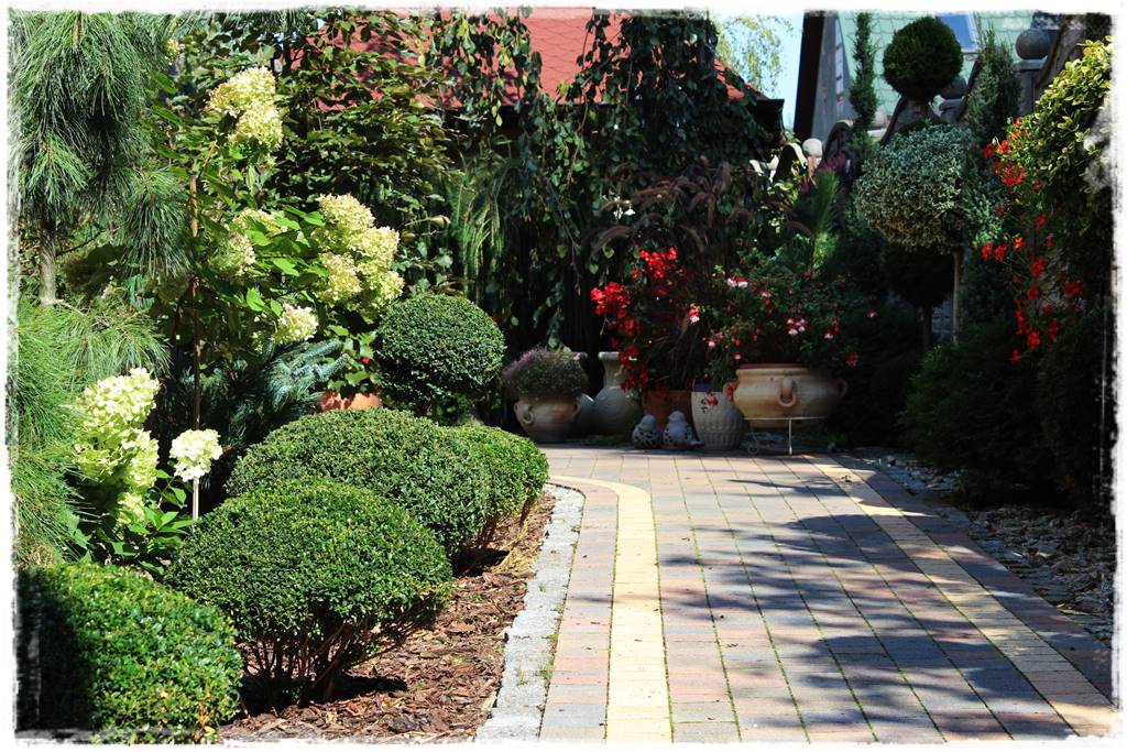 Pomysł na ścieżkę w ogrodzie 3e