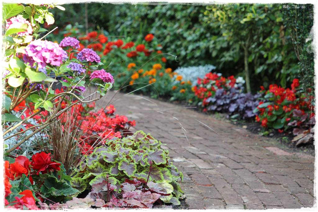 Pomysł na ścieżkę w ogrodzie 4