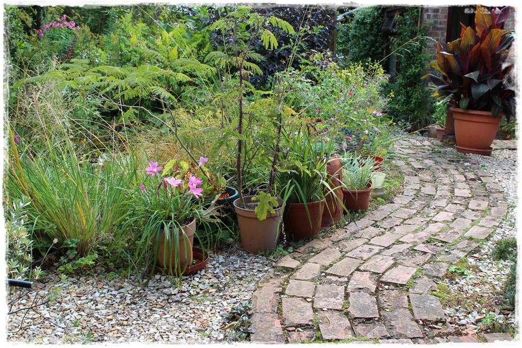 Pomysł na ścieżkę w ogrodzie 4g