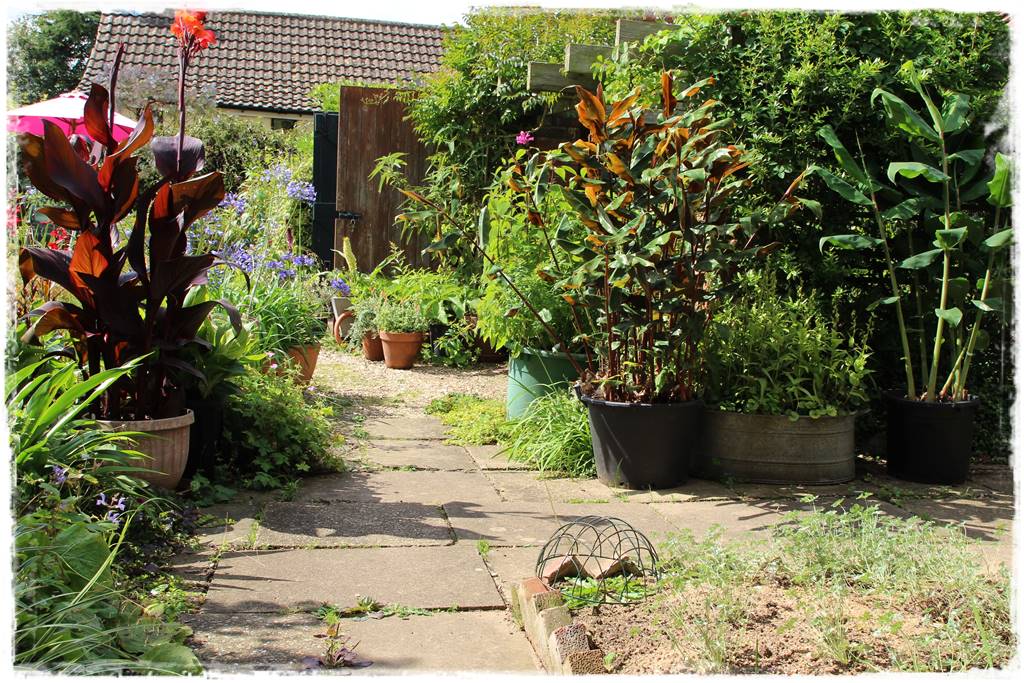 Pomysł na ścieżkę w ogrodzie 8