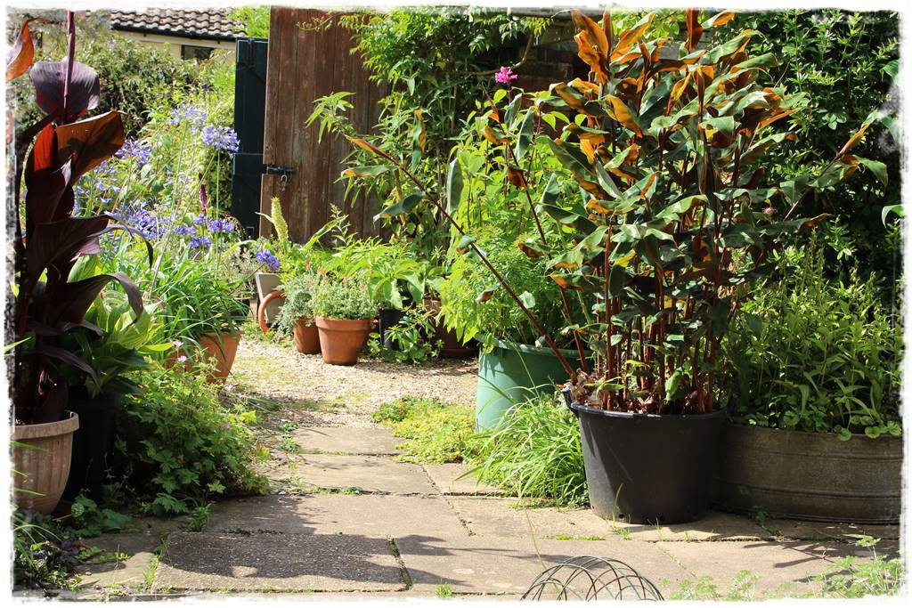 Pomysł na ścieżkę w ogrodzie 8b