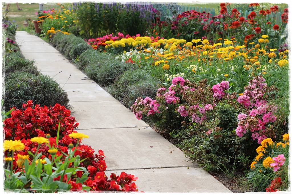 Pomysł na ścieżkę w ogrodzie 8c