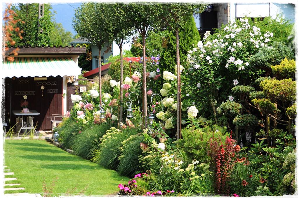 Rabata z hortensjami i trawami 2a Rabata z hortensjami i trawami 2a