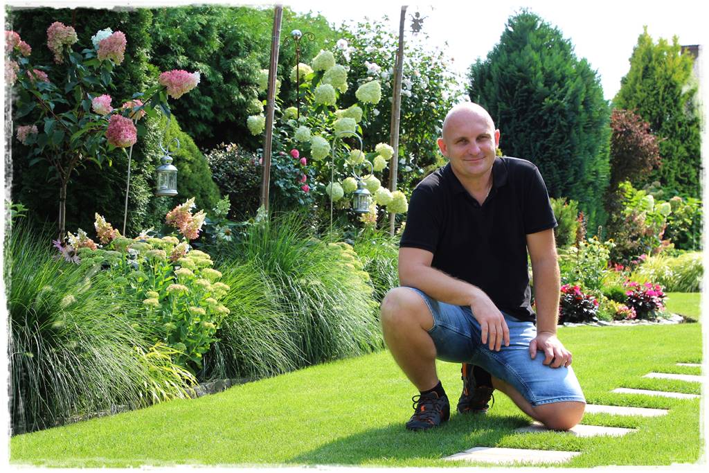 Rabata z hortensjami i trawami 2b Rabata z hortensjami i trawami 2b