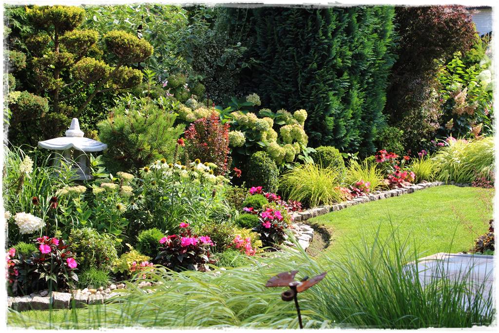 Rabata z hortensjami i trawami 3c Rabata z hortensjami i trawami 3c